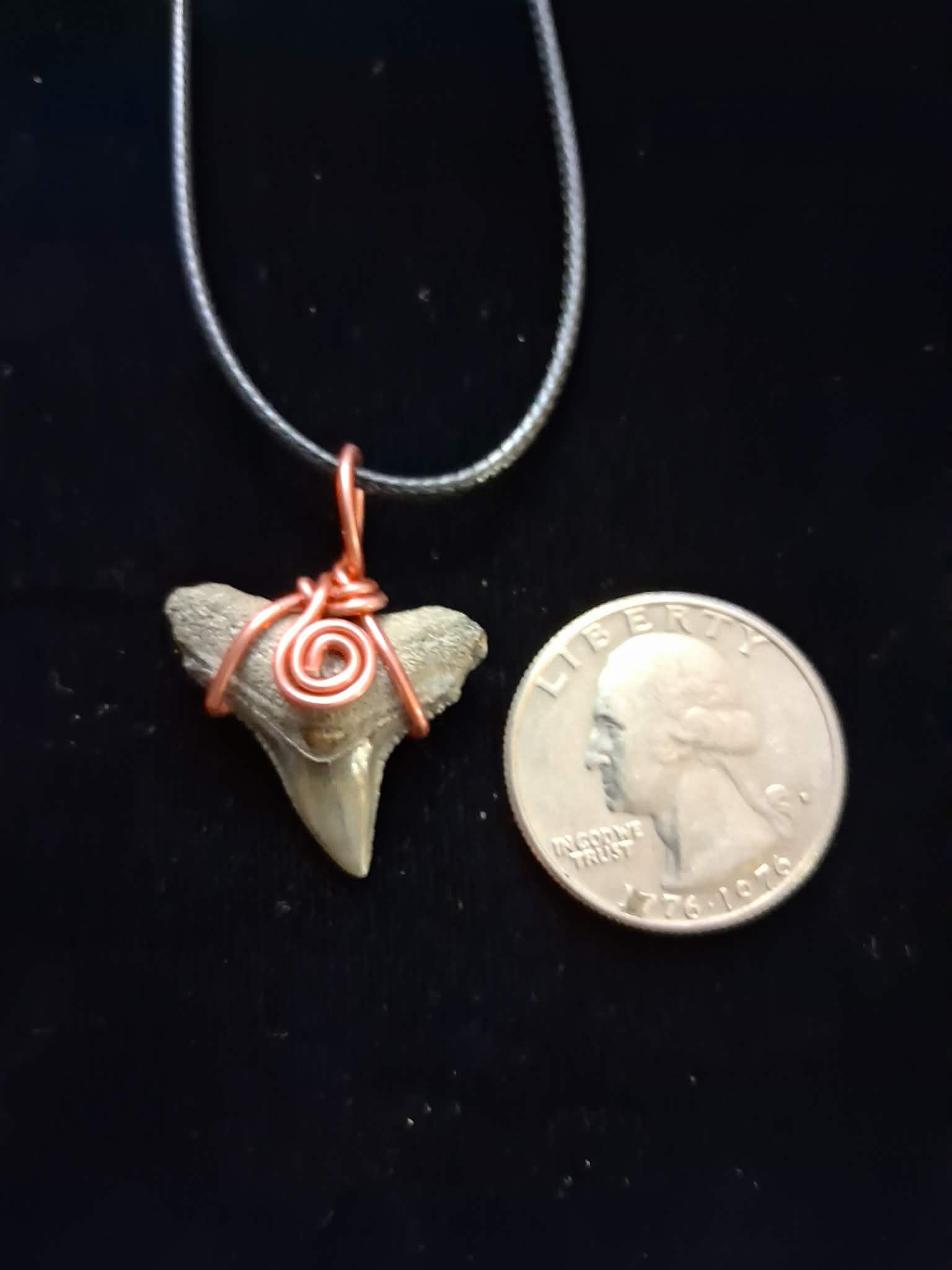 Bull Shark Wire Wrapped Pendant