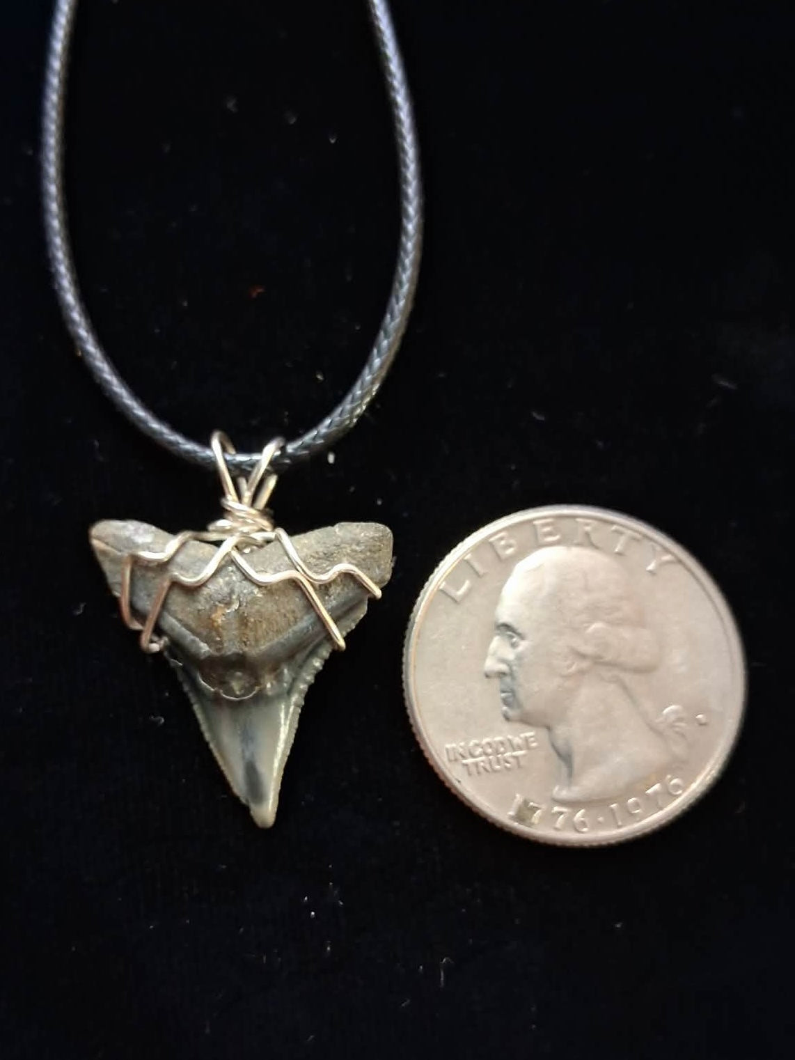 Bull Shark Wire Wrapped Pendant