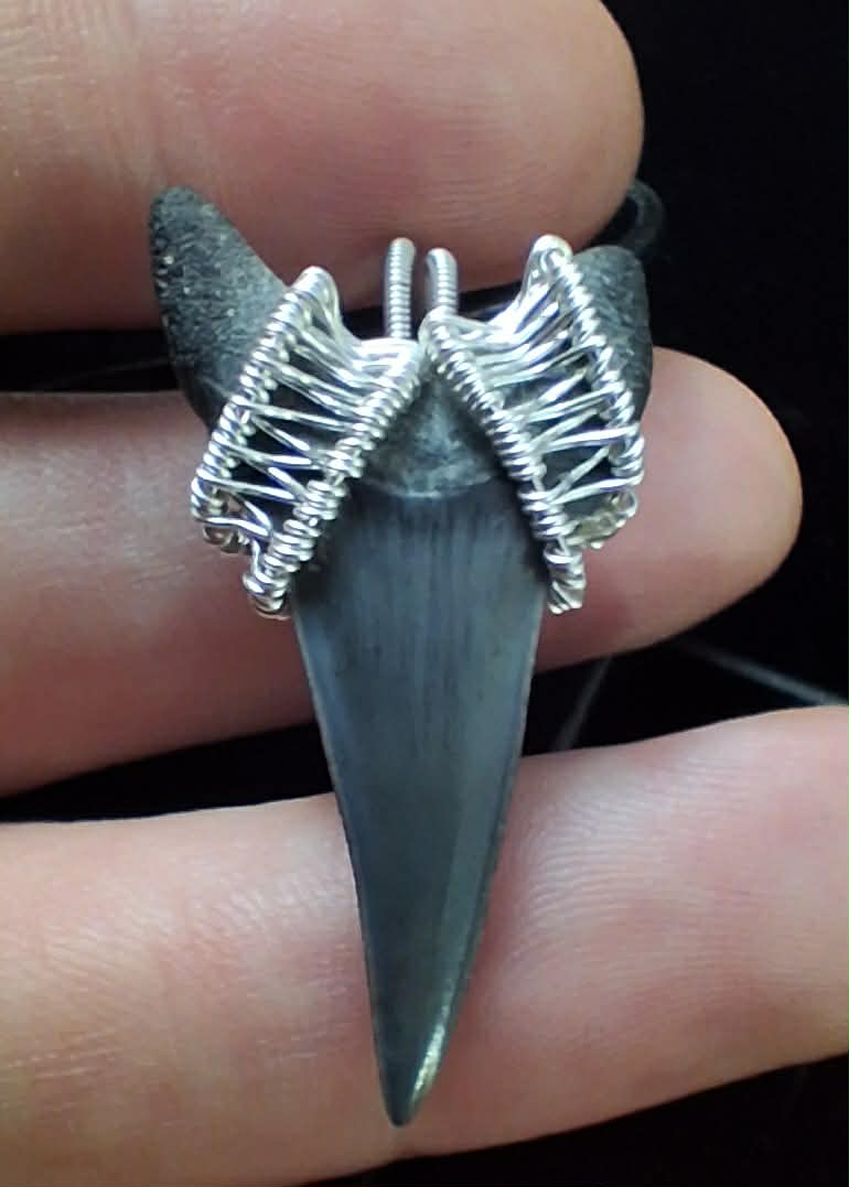 Lower Mako Shark Tooth Wire Wrapped Pendant