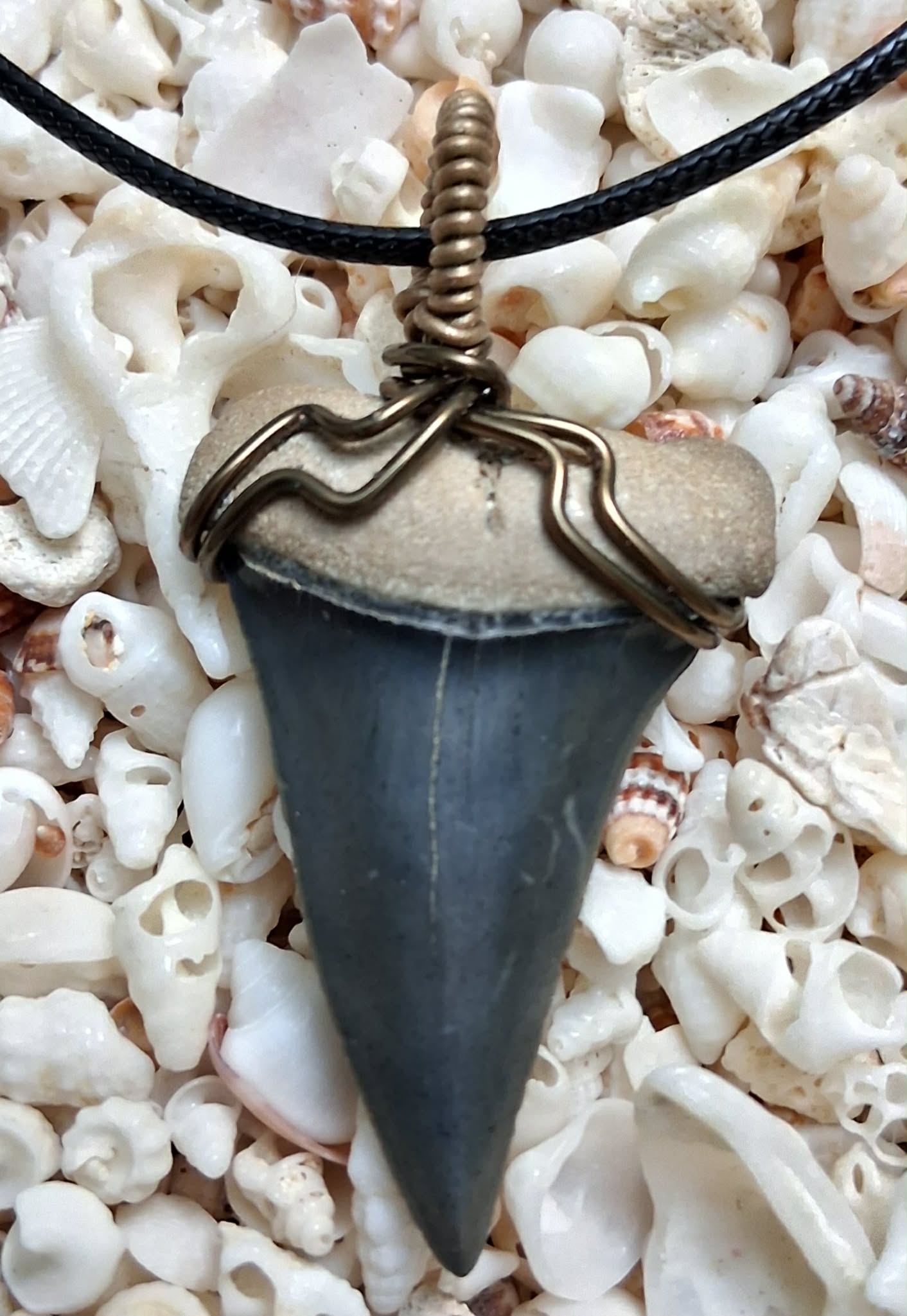 Golden Beach Upper Mako Shark Tooth Wire Wrapped Pendant