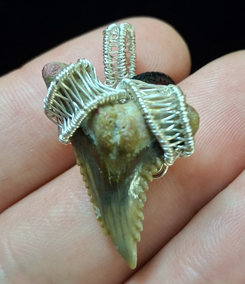 Upper Hemipristis “Snaggletooth” Shark Tooth Wire Wrapped Pendant