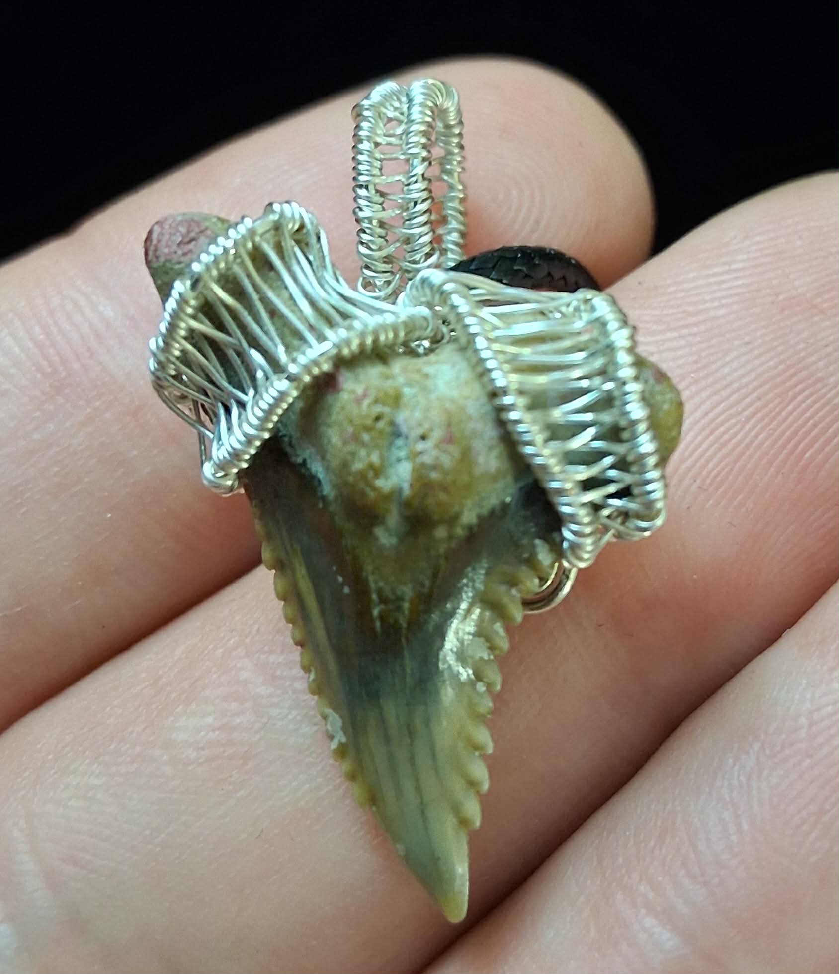 Upper Hemipristis “Snaggletooth” Shark Tooth Wire Wrapped Pendant