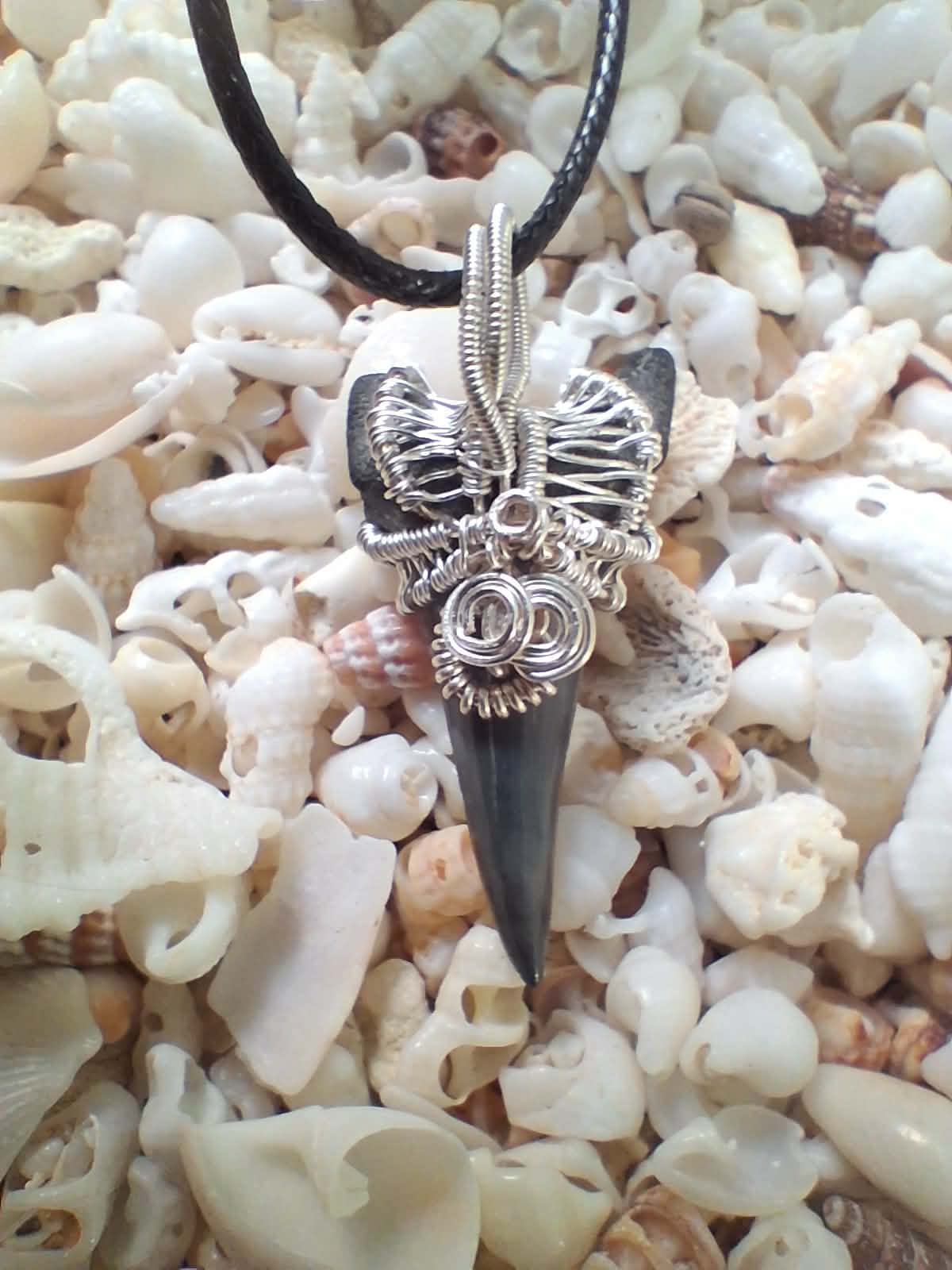 Lower Mako Shark Tooth Wire Wrapped Pendant