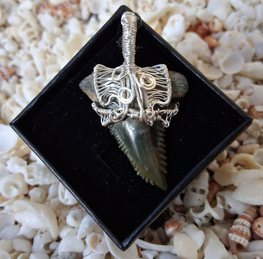Upper Hemipristis “Snaggletooth” Shark Tooth Wire Wrapped Pendant