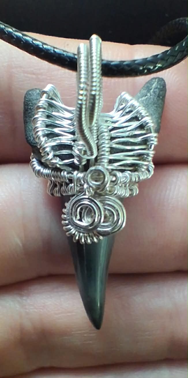 Lower Mako Shark Tooth Wire Wrapped Pendant