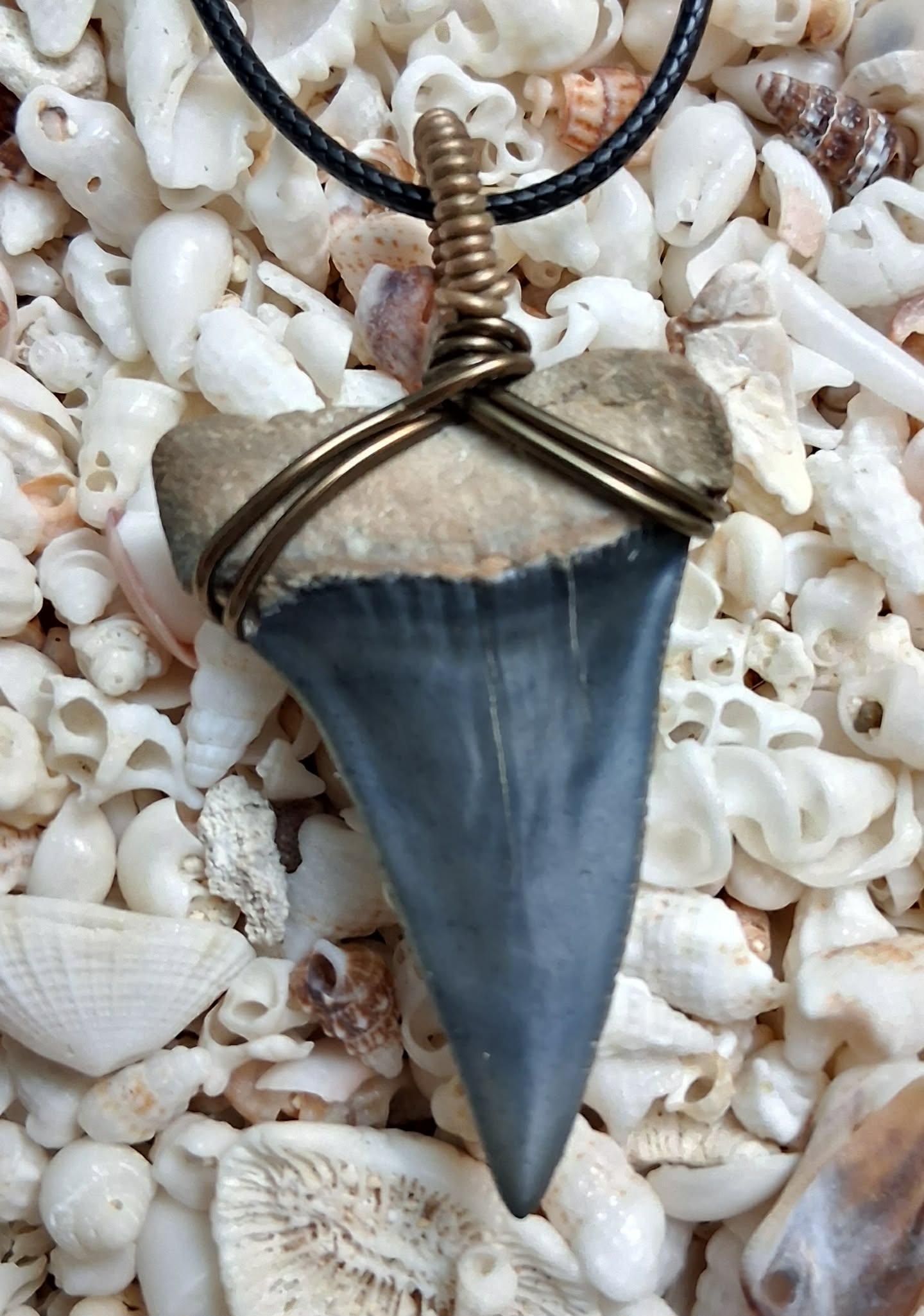 Golden Beach Upper Mako Shark Tooth Wire Wrapped Pendant