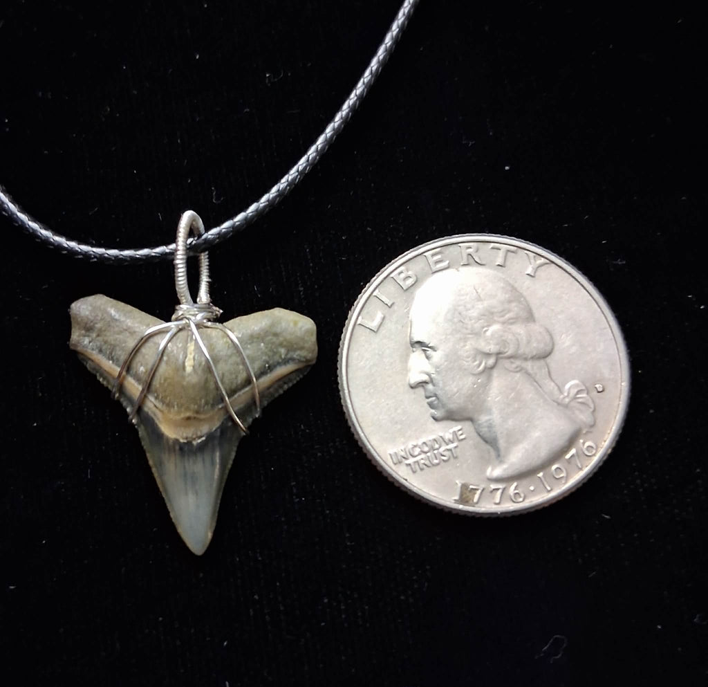 Bull Shark Wire Wrapped Pendant