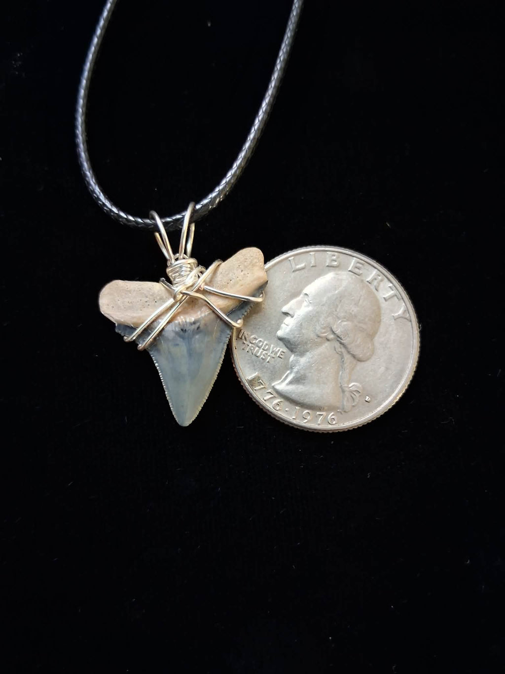 Bull Shark Tooth Wire Wrapped Pendant