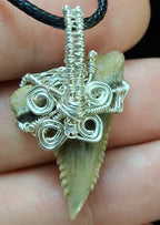 Upper Hemipristis “Snaggletooth” Shark Tooth Wire Wrapped Pendant
