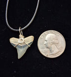 Bull Shark Wire Wrapped Pendant