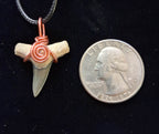 Lemon Shark Wire Wrapped Pendant
