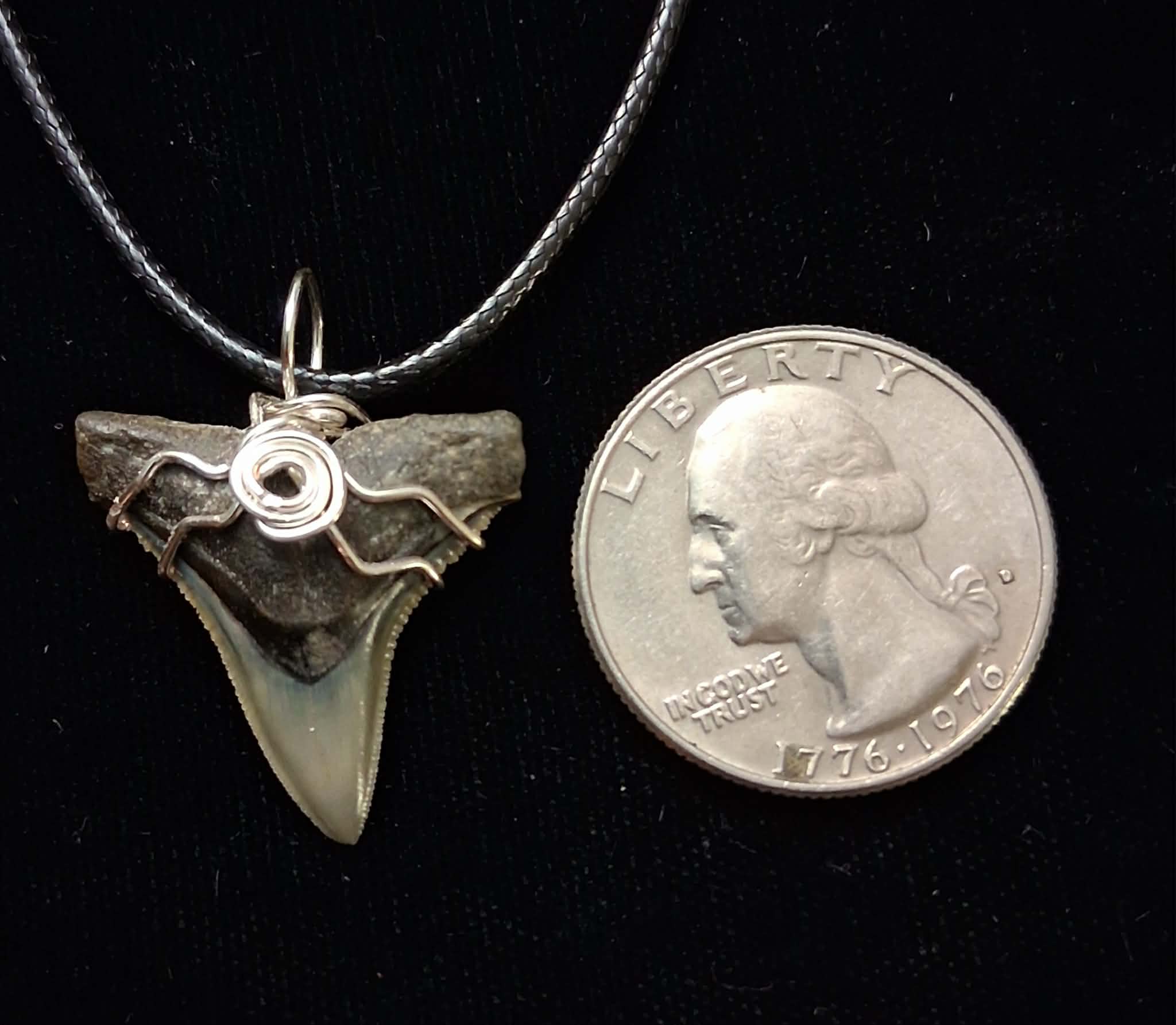 Bull Shark Wire Wrapped Pendant