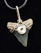 Bull Shark Wire Wrapped Pendant