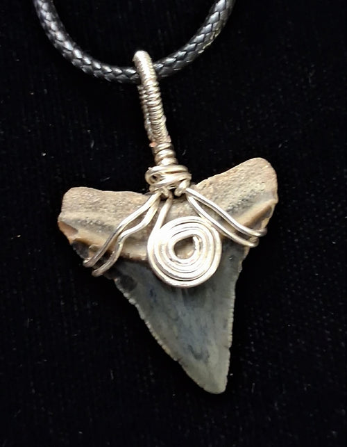 Bull Shark Wire Wrapped Pendant