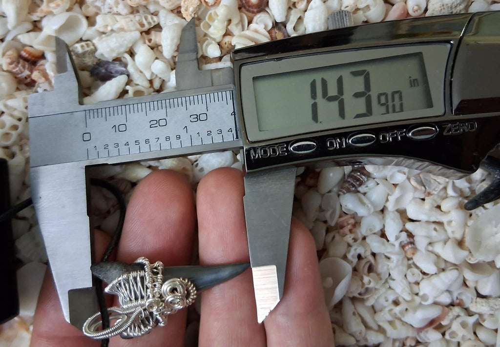 Lower Mako Shark Tooth Wire Wrapped Pendant