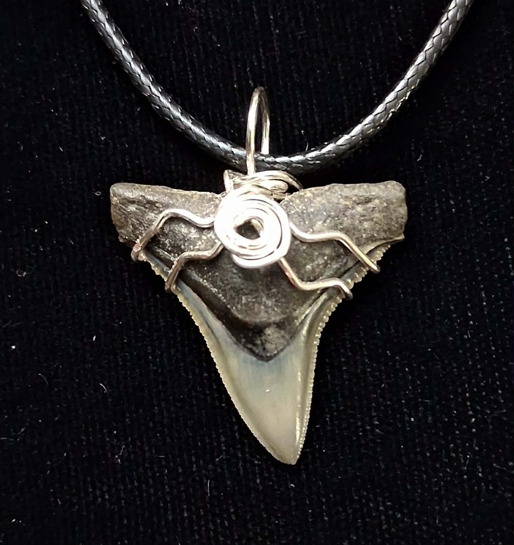 Bull Shark Wire Wrapped Pendant