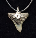 Bull Shark Wire Wrapped Pendant