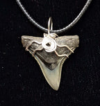 Bull Shark Wire Wrapped Pendant