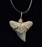 Bull Shark Wire Wrapped Pendant