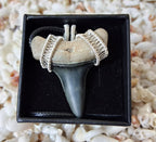 Golden Beach Lower Mako Shark Tooth Wire Wrapped Pendant