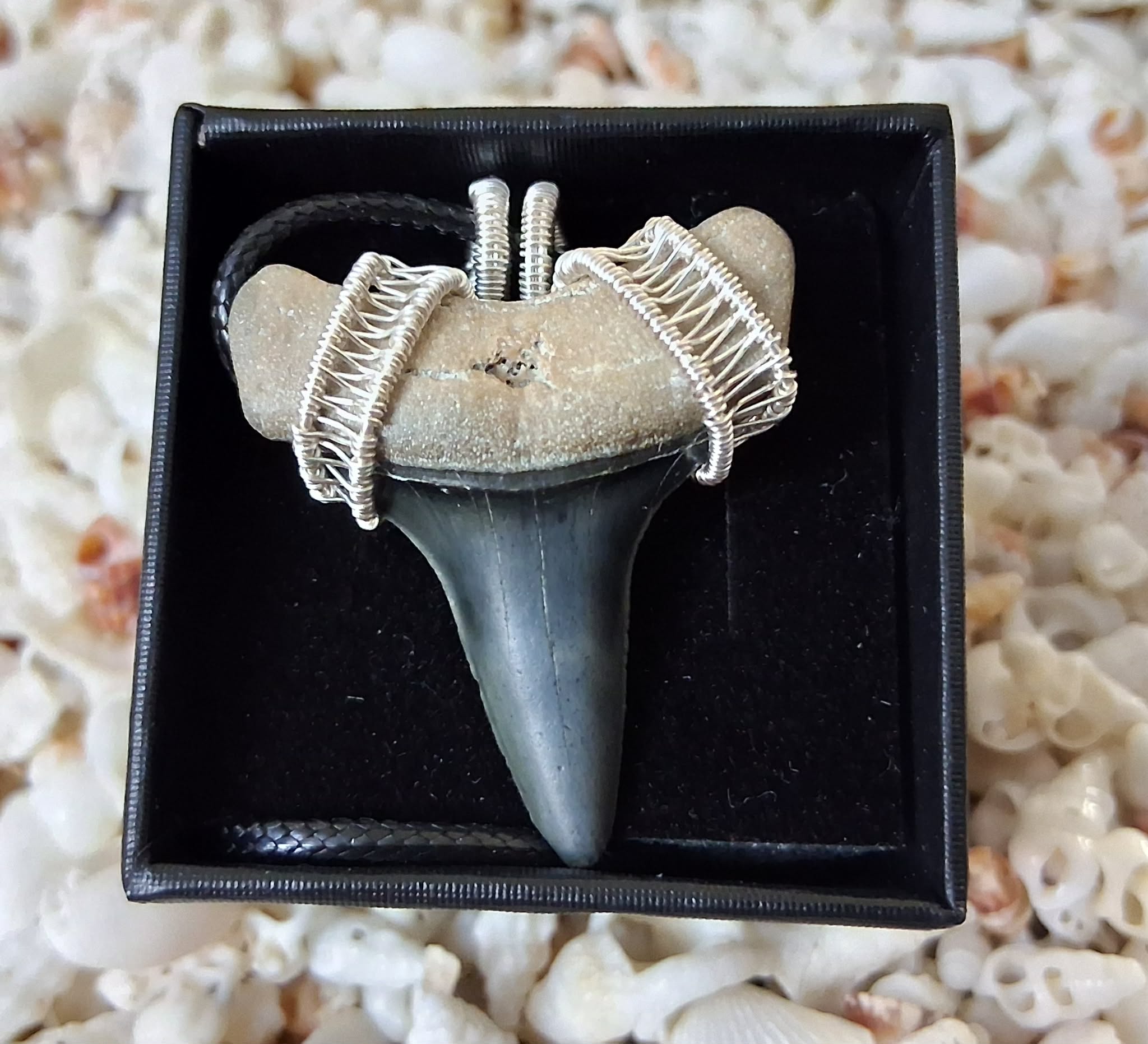 Golden Beach Lower Mako Shark Tooth Wire Wrapped Pendant