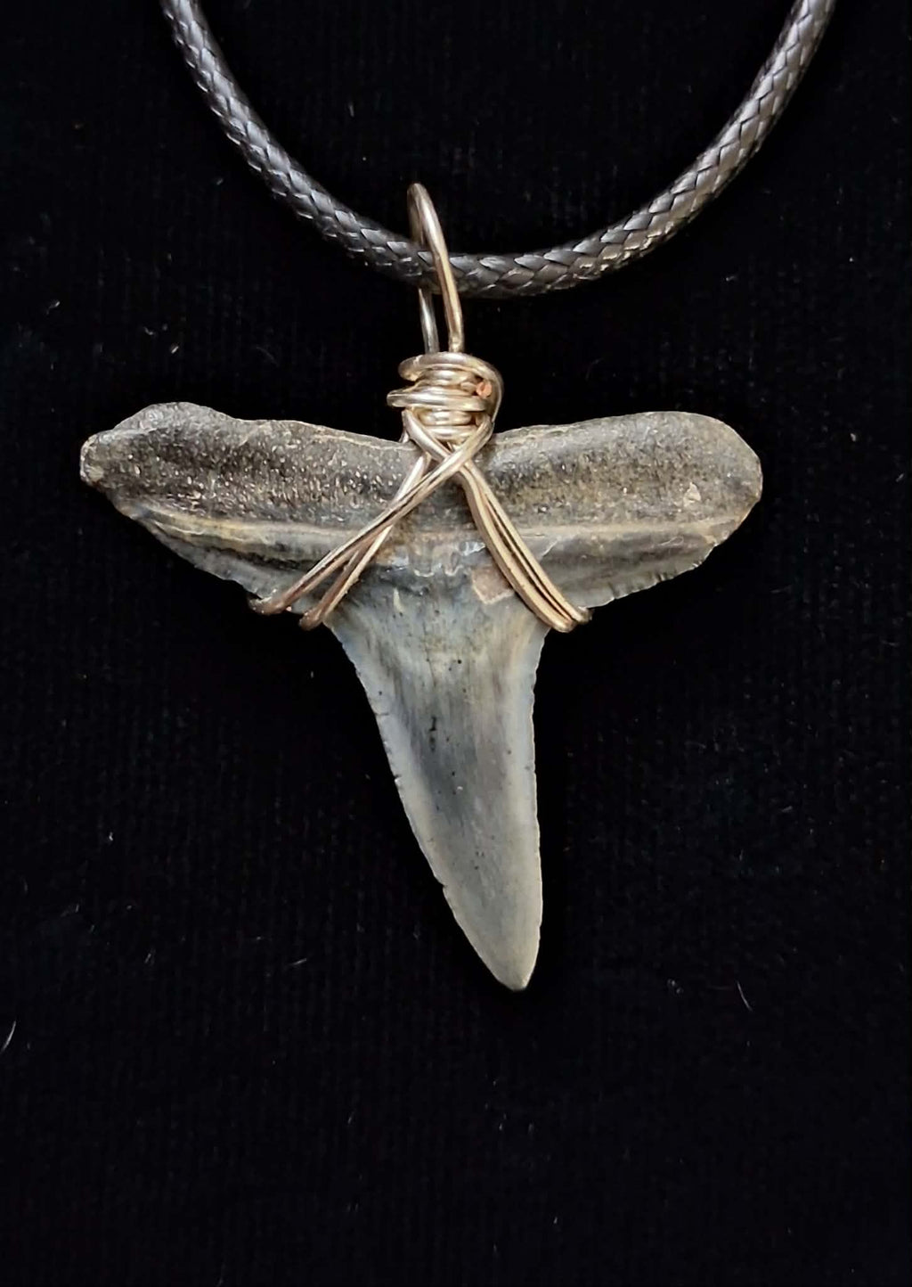 Lemon Shark Tooth Wire Wrapped Pendant