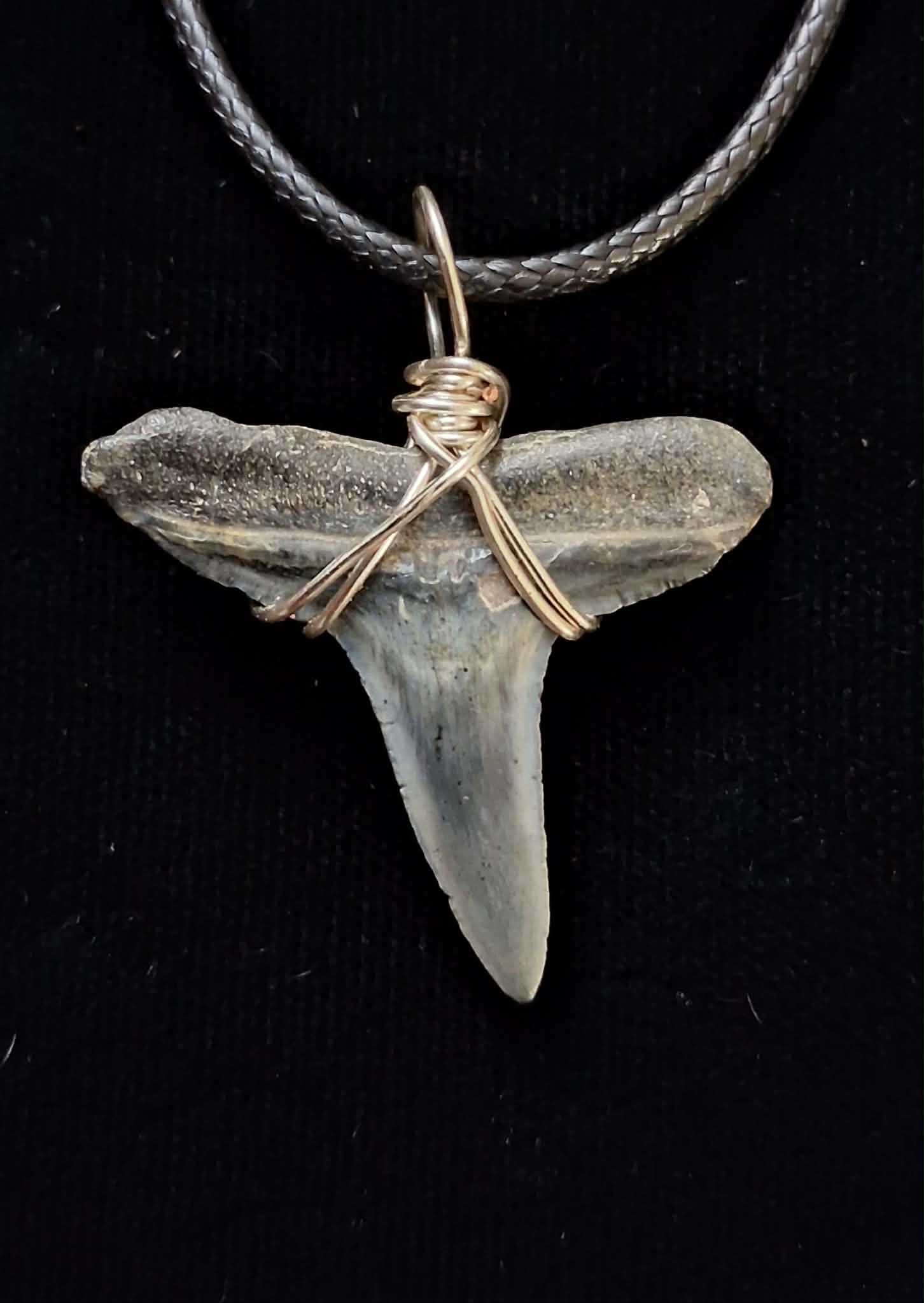 Lemon Shark Tooth Wire Wrapped Pendant