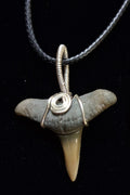 Lemon Shark Wire Wrapped Pendant