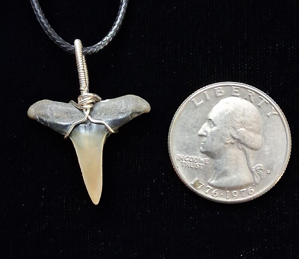 Lemon Shark Wire Wrapped Pendant