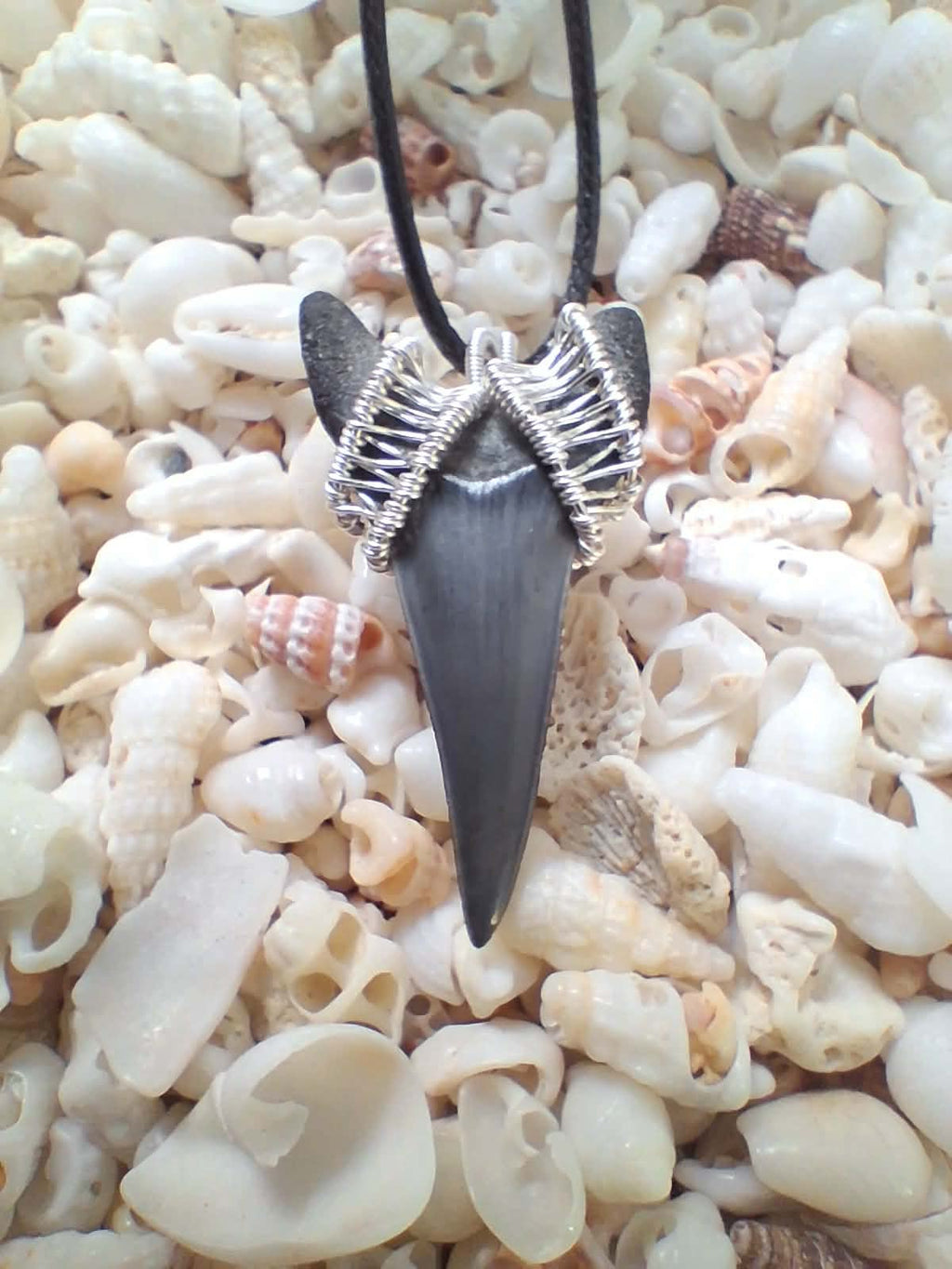 Lower Mako Shark Tooth Wire Wrapped Pendant
