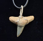 Lemon Shark Wire Wrapped Pendant