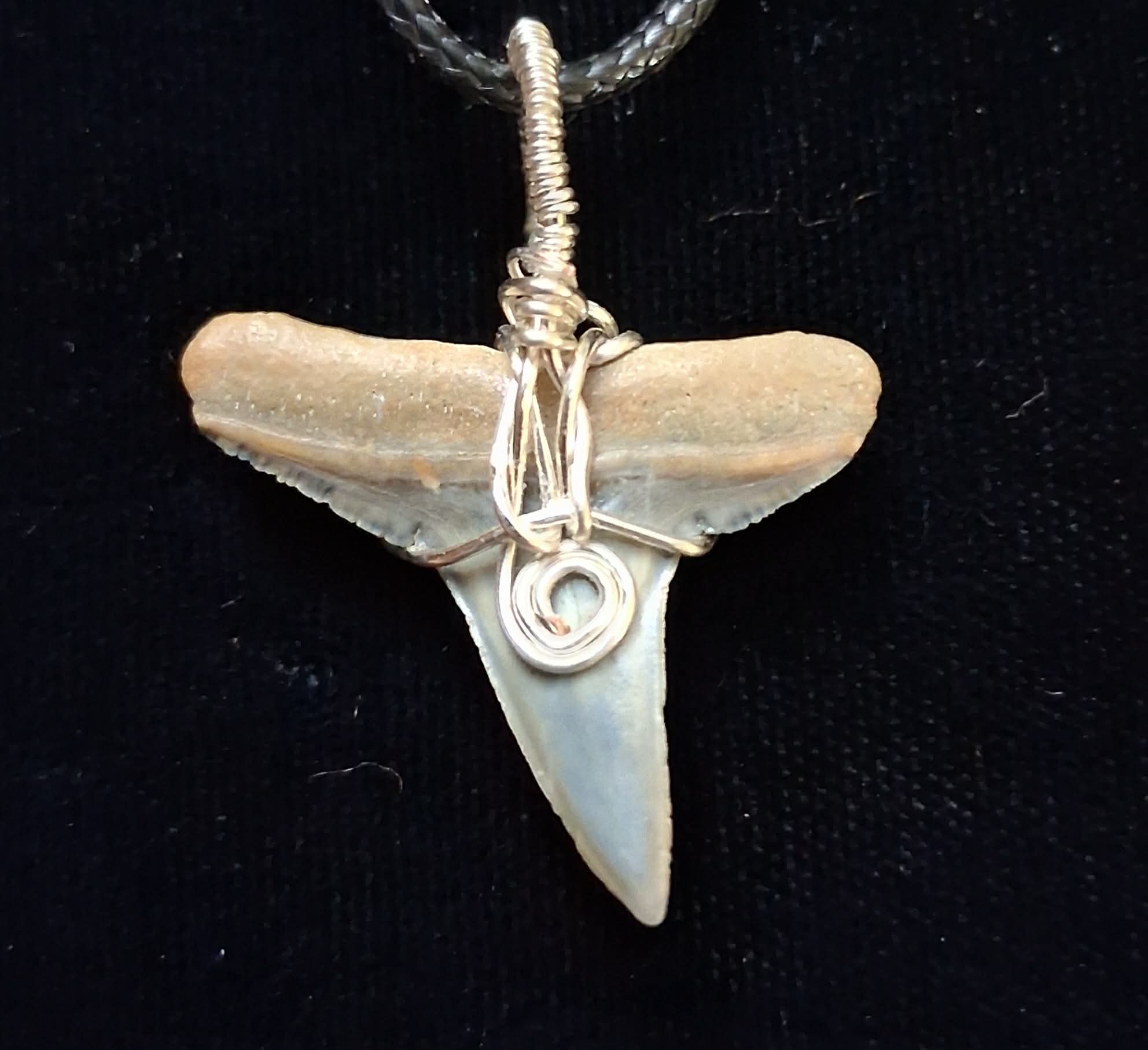 Lemon Shark Wire Wrapped Pendant