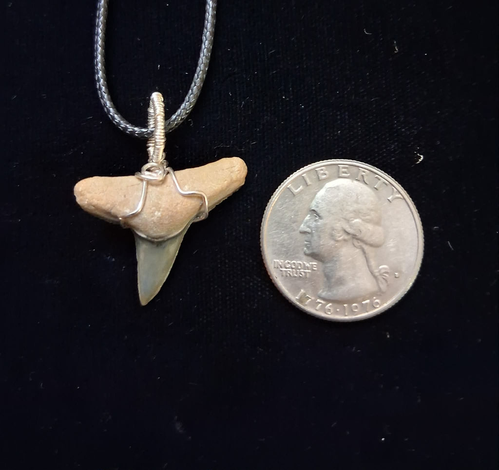 Lemon Shark Wire Wrapped Pendant