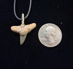 Lemon Shark Wire Wrapped Pendant