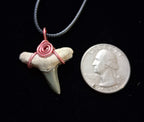 Lemon Shark Wire Wrapped Pendant