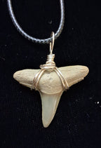 Lemon Shark Tooth Pendant