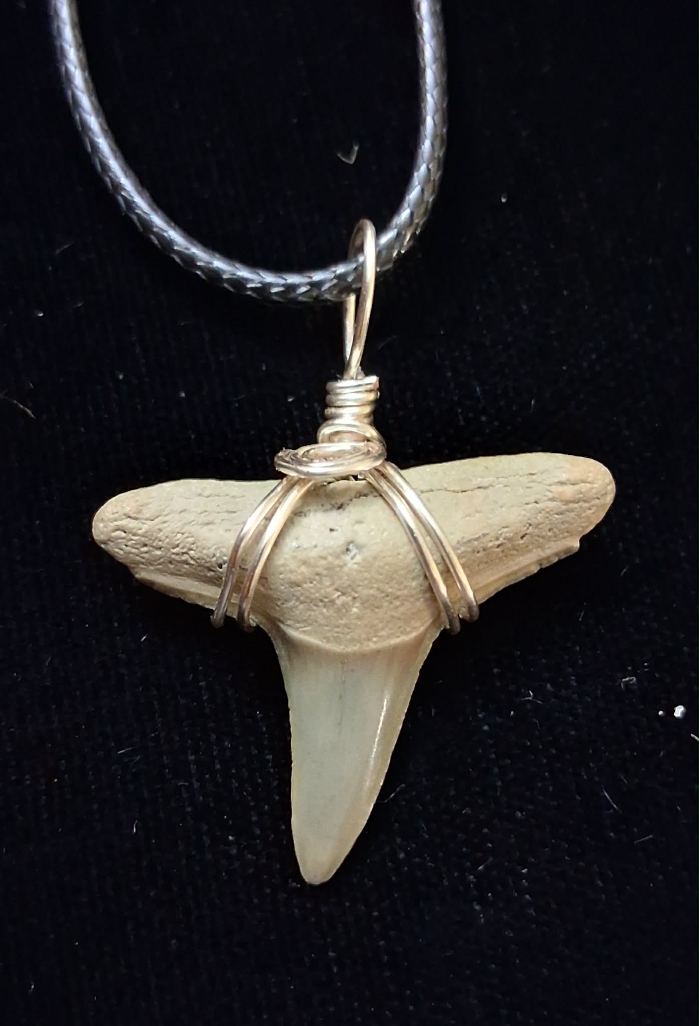 Lemon Shark Tooth Pendant