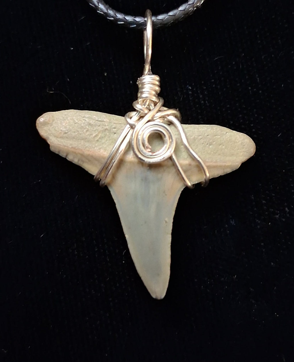 Lemon Shark Tooth Pendant