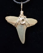 Lemon Shark Tooth Pendant