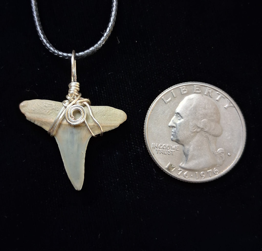 Lemon Shark Tooth Pendant