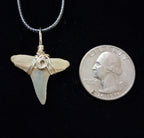 Lemon Shark Tooth Pendant