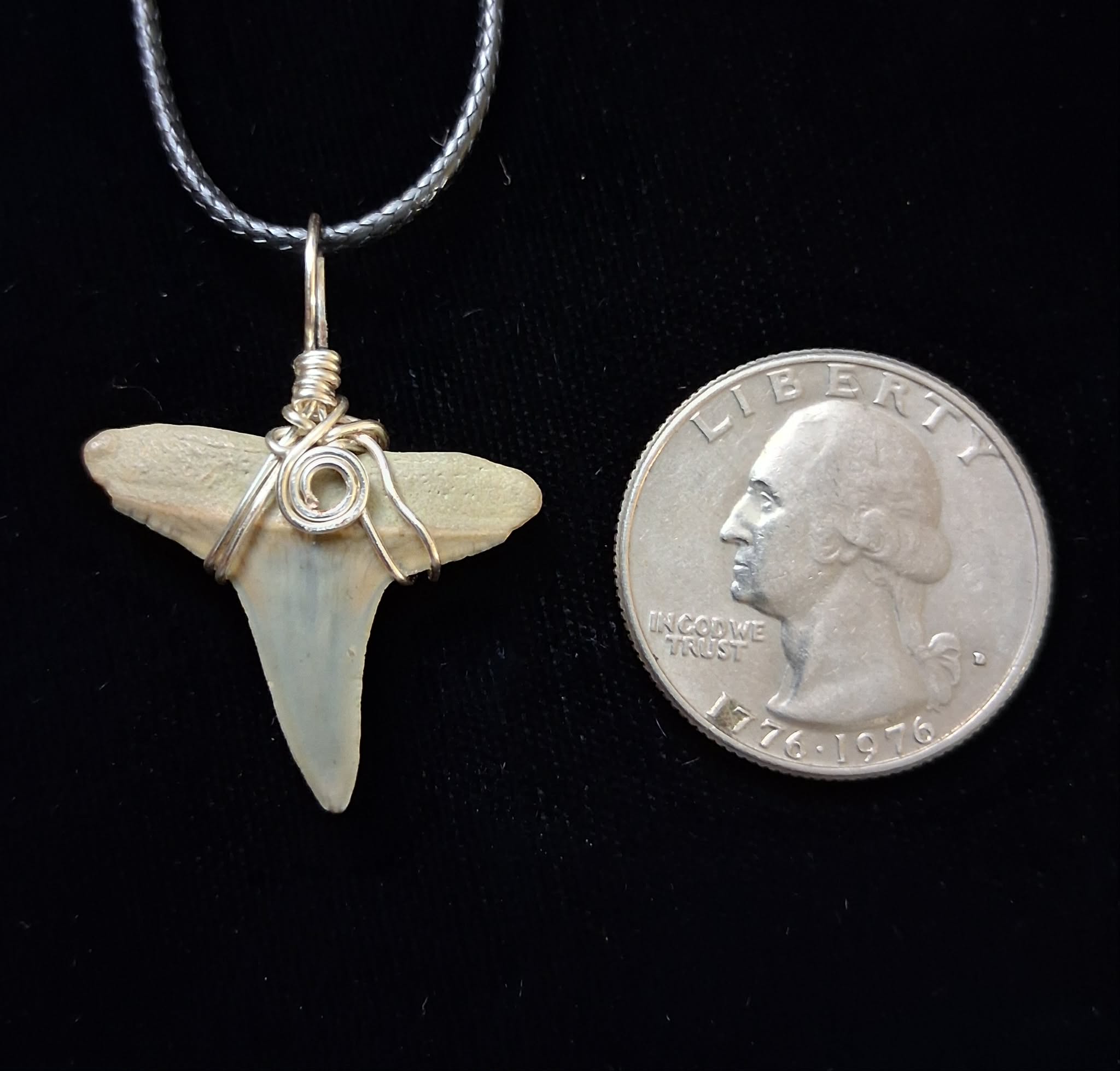 Lemon Shark Tooth Pendant