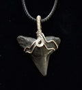 Bull Shark Wire Wrapped Pendant