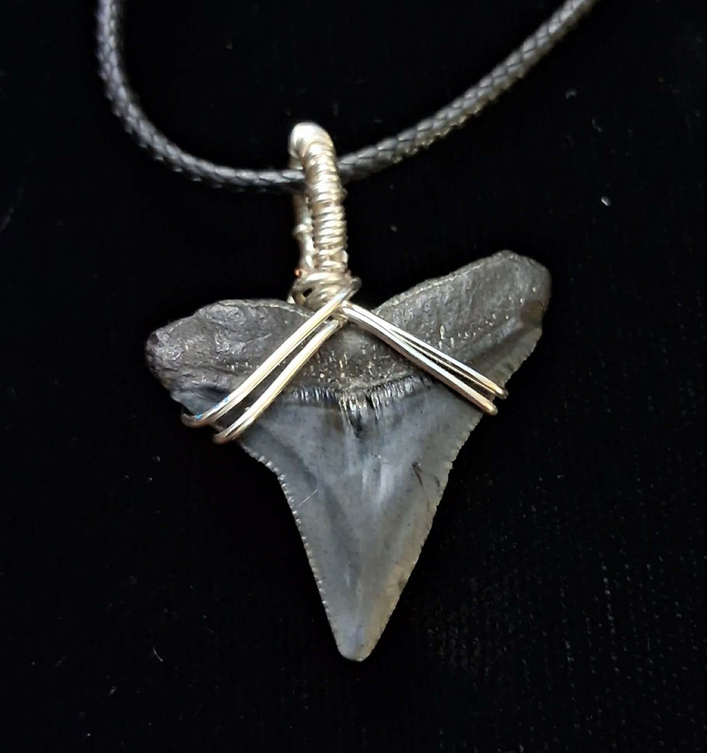 Bull Shark Wire Wrapped Pendant