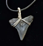 Bull Shark Wire Wrapped Pendant