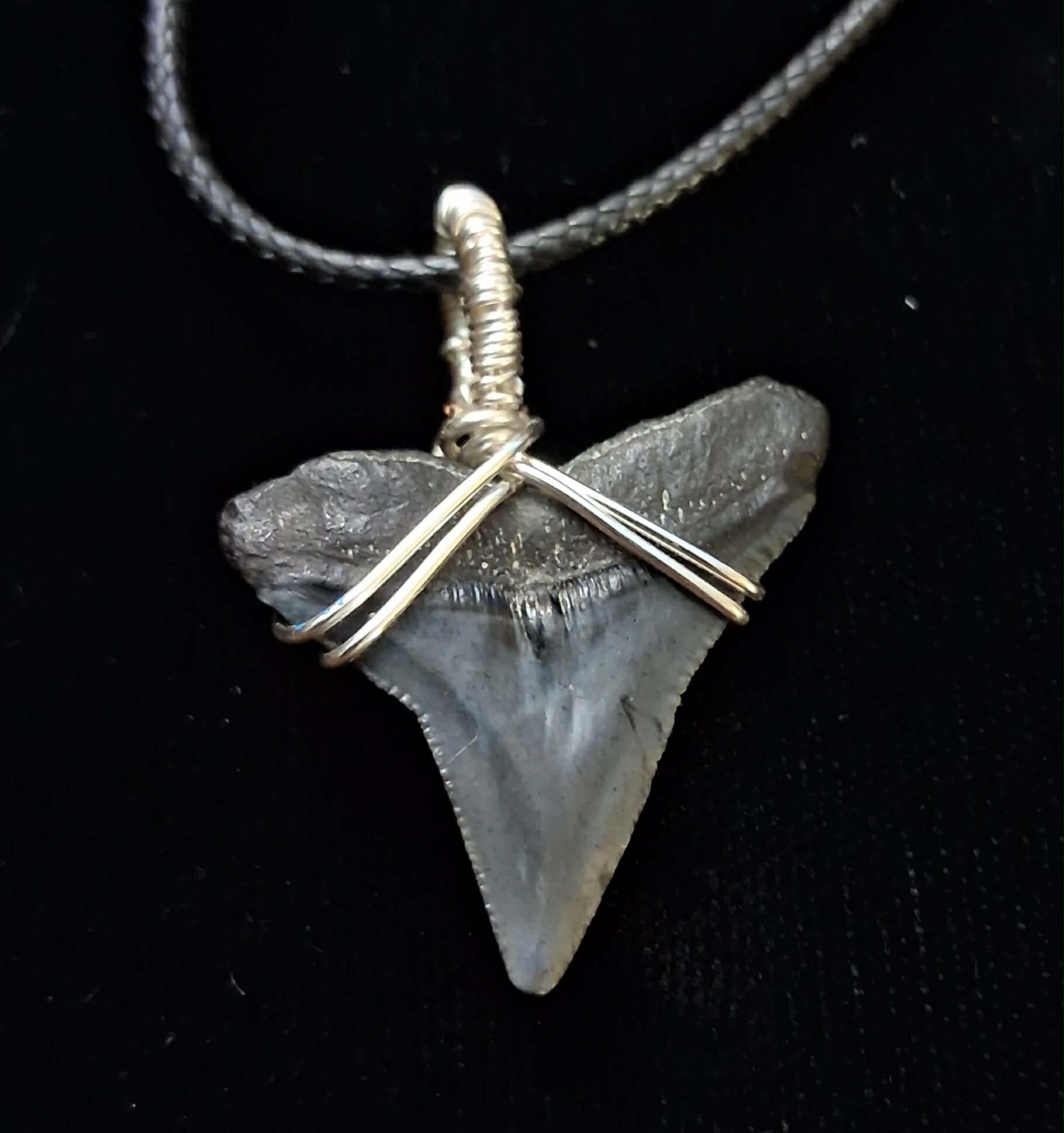 Bull Shark Wire Wrapped Pendant