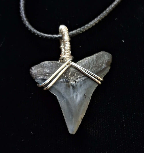 Bull Shark Wire Wrapped Pendant