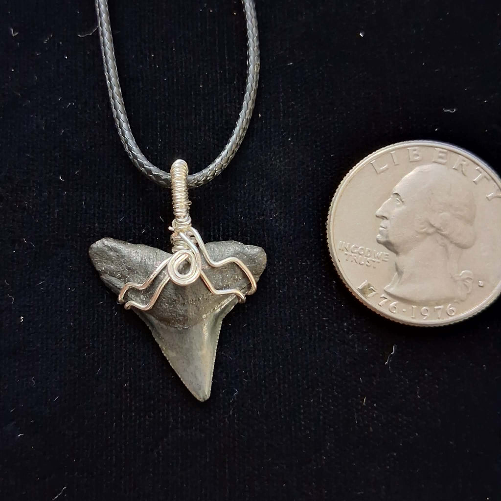 Bull Shark Wire Wrapped Pendant