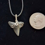 Bull Shark Wire Wrapped Pendant