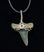 Lemon Shark Wire Wrapped Pendant